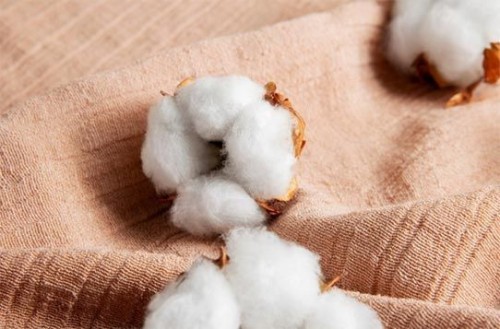 Raw Cotton