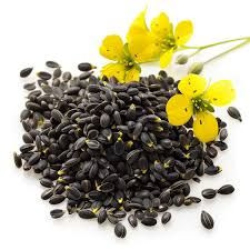 Canola Seeds