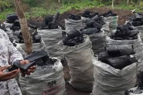 Charcoal briquettes
