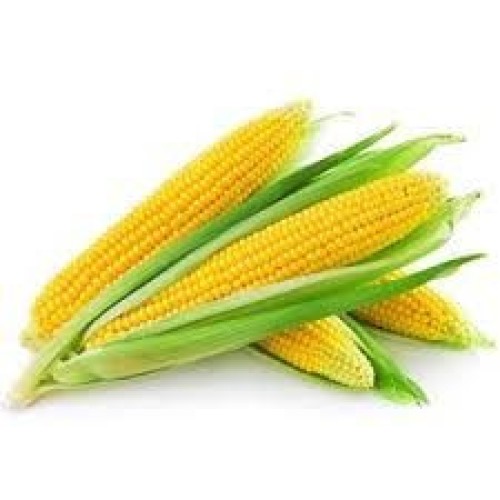 Corn